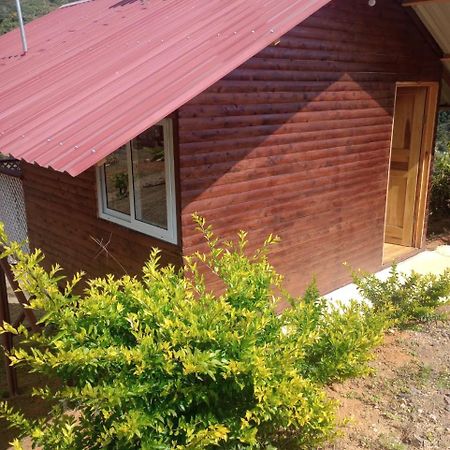 Mario'S Lodge Providencia Copey Exterior foto