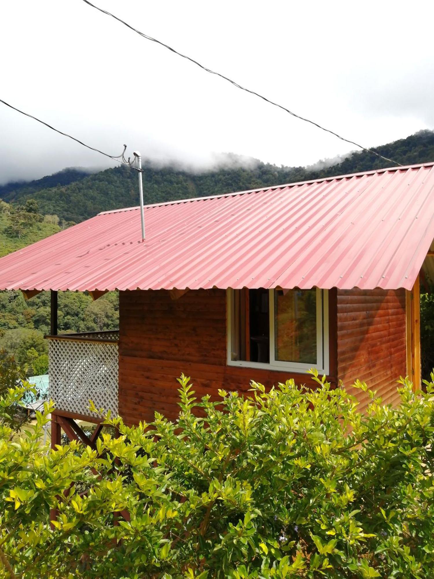 Mario'S Lodge Providencia Copey Exterior foto
